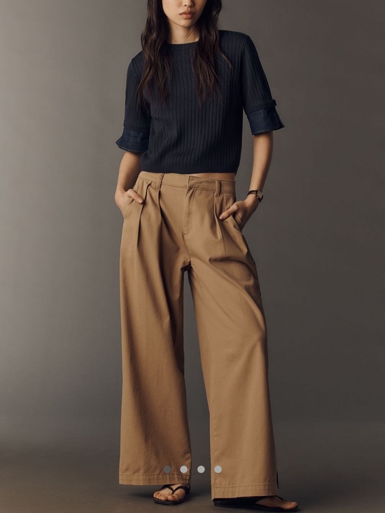 Maeve Pants - Anthropologie Maeve Pleated Track Trouser